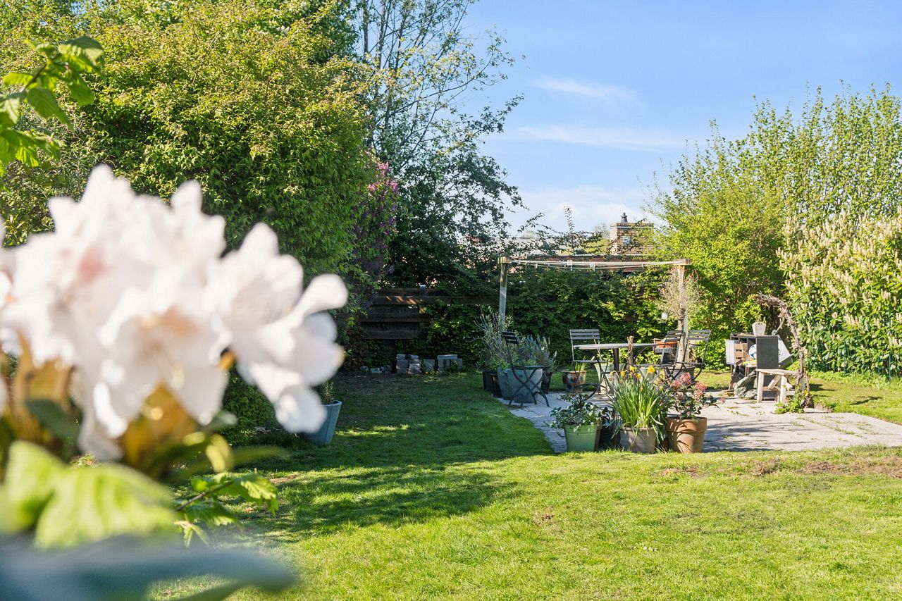 image 02